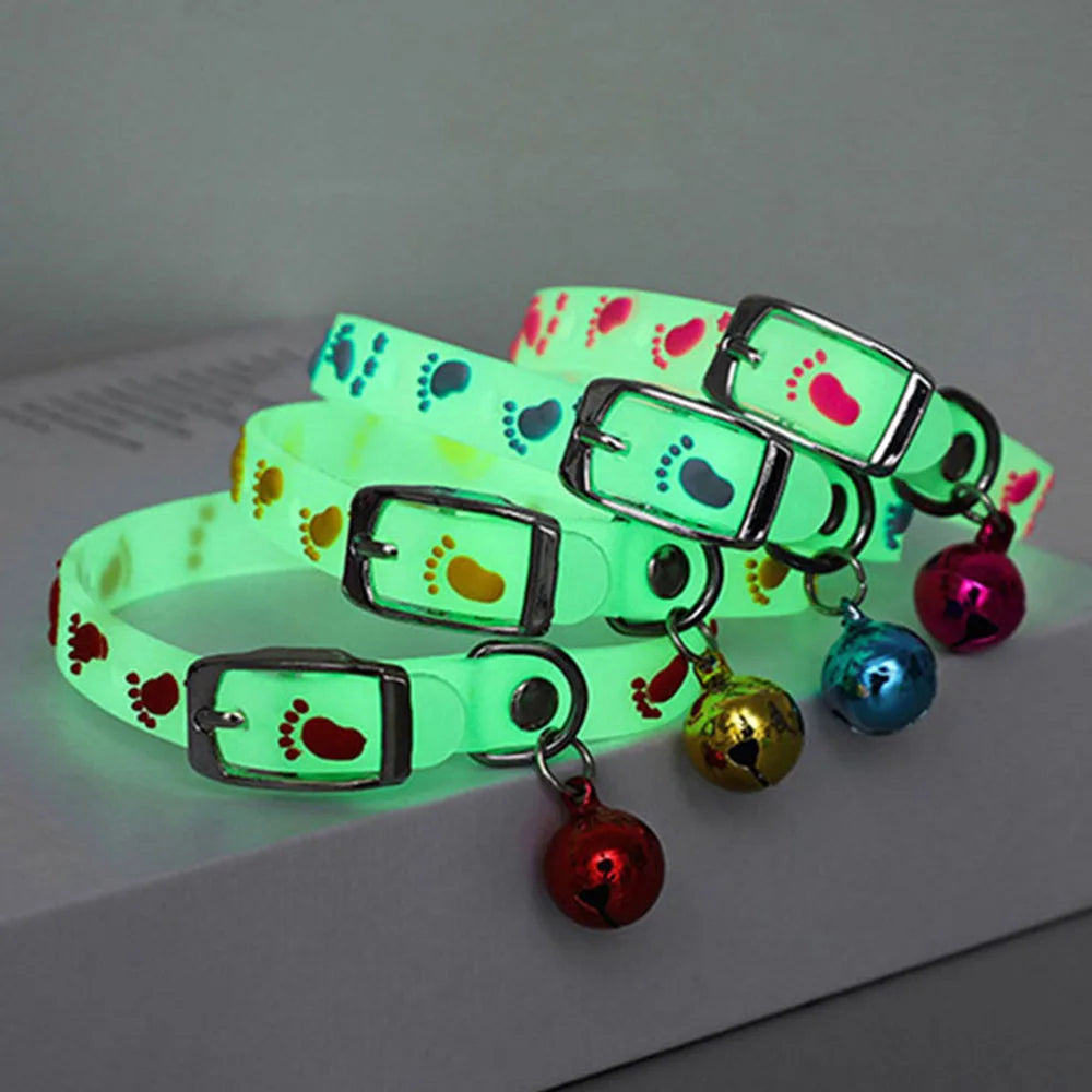 Glow Cat/Dog Collar