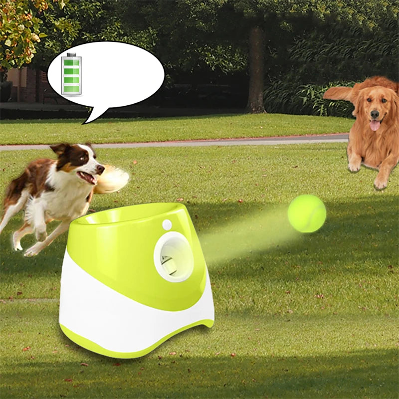 Lanceur automatique de tennis pour chiens