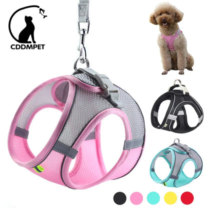 Adjustable Dog Harness Leash Set