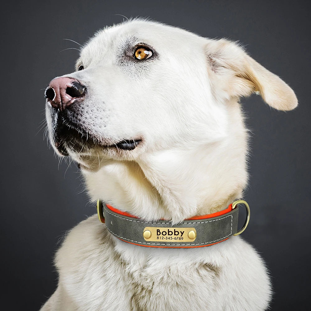 Personalized Leather Dog Collar