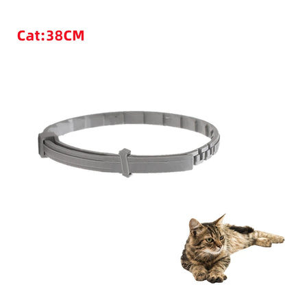 Shield Guard Pet Collar