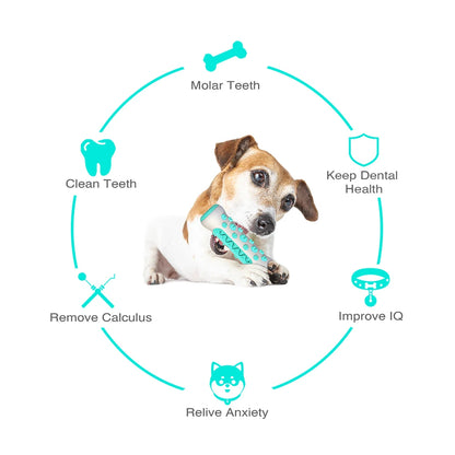 Jouet de bâton de brosse à dents molaire pour chien