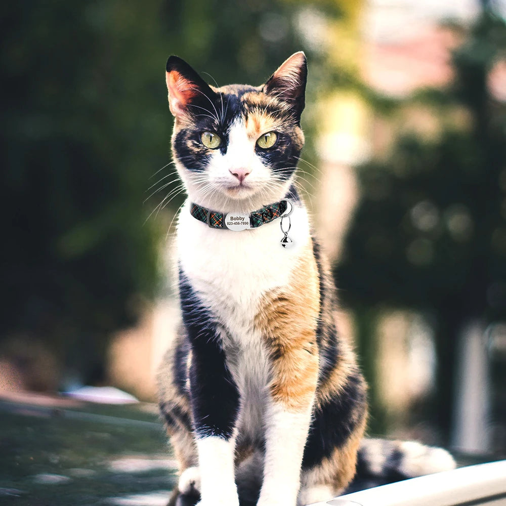 Collier de chat personnalisé imprimé