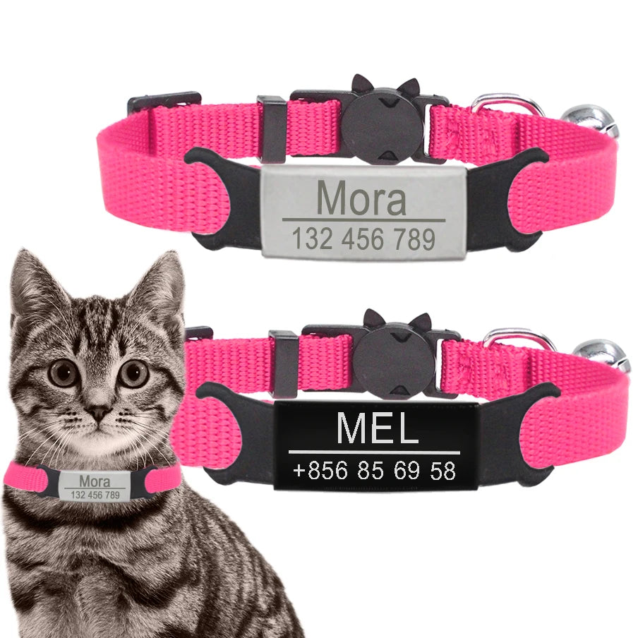 Personalized Cat Safety Collar