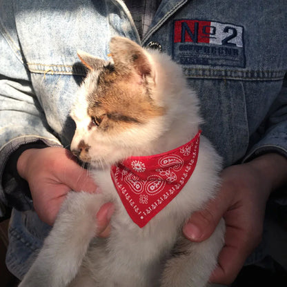 Adjustable Pet Bandana