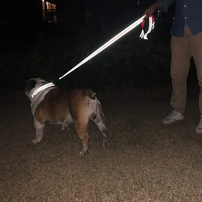 Night Glow Leash