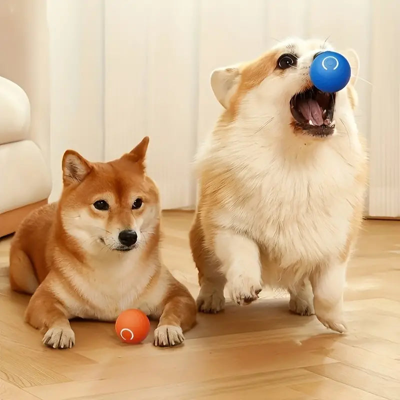 Smart Dog Bouncing Ball Toy