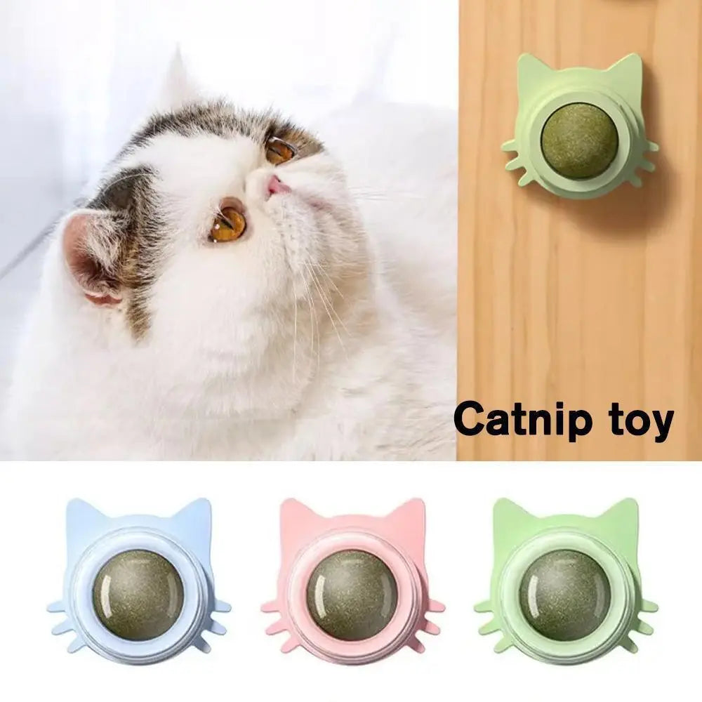 Cat Toy Catnip licking ball