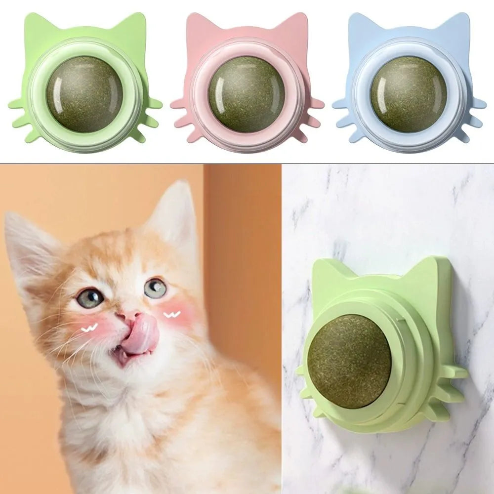 Cat Toy Catnip licking ball